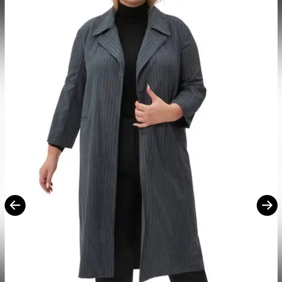 NWT Pari Passu Charlie Gray Pinstripe Long Coat D18 - Picture 1 of 3